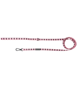 Little Kitty Little Kitty Cat Leash Prettiest Of Them All