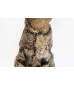 Little Kitty Little Kitty Strap Harness Cool Cat Camo -Hondenmode little kitty strap harness cool cat camo 1