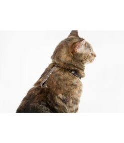 Little Kitty Little Kitty Strap Harness Cool Cat Camo -Hondenmode little kitty strap harness cool cat camo 2