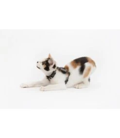 Little Kitty Little Kitty Strap Harness Cool Cat Camo -Hondenmode little kitty strap harness cool cat camo 3