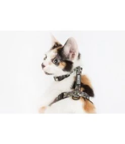 Little Kitty Little Kitty Strap Harness Cool Cat Camo -Hondenmode little kitty strap harness cool cat camo 4