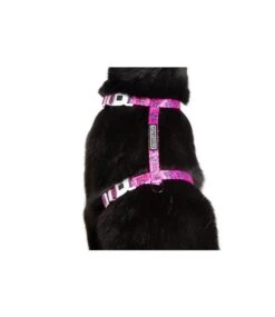 Little Kitty Little Kitty Strap Harness Flutterly Fab -Hondenmode little kitty strap harness flutterly fab 2