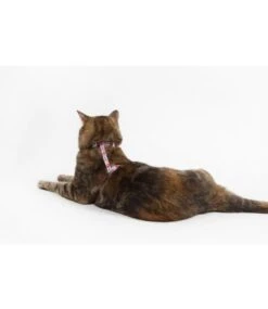 Little Kitty Little Kitty Strap Harness That Floral Feeling -Hondenmode little kitty strap harness that floral feeling 2