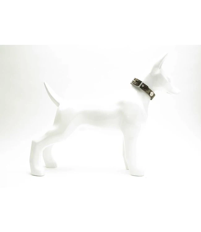 Buddy Belts Multi Collar Gold Drop Elite Style Strap 4 Buddy Belts Multi Collar Gold Drop Elite Style Strap - Afbeelding 2