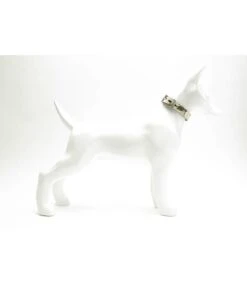 Buddy Belts Multi Collar Golden Leopard Elite Style Strap -Hondenmode multi collar golden leopard elite style strap 1