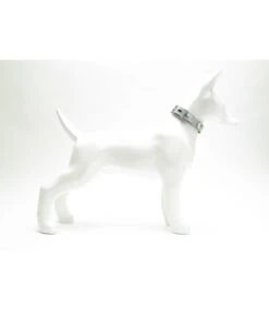 Buddy Belts Multi Collar Prism Python Elite Style Strap 5 Buddy Belts Multi Collar Prism Python Elite Style Strap -Hondenmode multi collar prism python elite style strap 1