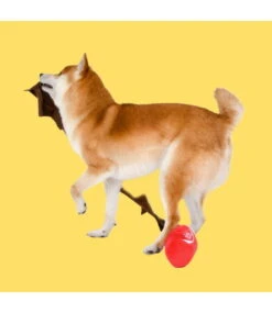 Olchi Olchi Fivedogs Drink Plush & Squeaky Dog Toy 14 Olchi Olchi Fivedogs Drink Plush & Squeaky Dog Toy -Hondenmode olchi fivedogs drink plush squeaky dog toy 4