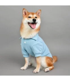 Olchi Olchi Pocket Shirts Hondentrui SkyBlue 8 Olchi Olchi Pocket Shirts Hondentrui SkyBlue -Hondenmode olchi pocket shirts hondentrui skyblue 2