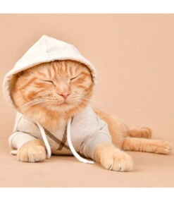 Olchi Olchi Simple Hood Hondentrui Hoodie Beige -Hondenmode olchi simple hood hondentrui hoodie beige 3