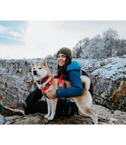 Orbiloc Orbiloc DOG Dual Dark -Hondenmode orbiloc dog dual dark 4