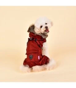 Pinkaholic Pinkaholic Addie Jacket Harness Wine -Hondenmode pinkaholic addie jacket harness wine 3