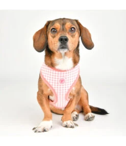 Pinkaholic Pinkaholic Alaia Harness Indian Pink -Hondenmode pinkaholic alaia harness indian pink 2