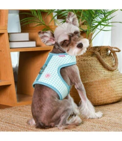 Pinkaholic Pinkaholic Alaia Pinka Harness Aqua -Hondenmode pinkaholic alaia pinka harness aqua 2