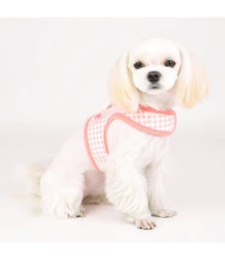 Pinkaholic Pinkaholic Alaia Pinka Harness Indian Pink -Hondenmode pinkaholic alaia pinka harness indian pink 2