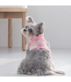 Pinkaholic Pinkaholic Angeline Harness G Indian Pink -Hondenmode pinkaholic angeline harness g indian pink 2