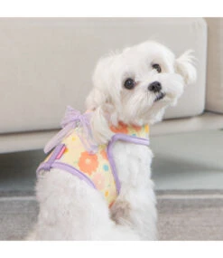 Pinkaholic Pinkaholic Angeline Harness G Violet -Hondenmode pinkaholic angeline harness g violet 2