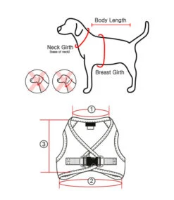 Pinkaholic Pinkaholic Calla Vest Harness Grey 11 Pinkaholic Pinkaholic Calla Vest Harness Grey -Hondenmode pinkaholic calla vest harness grey 4
