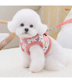 Pinkaholic Pinkaholic Calla Vest Harness Ivory 9 Pinkaholic Pinkaholic Calla Vest Harness Ivory -Hondenmode pinkaholic calla vest harness ivory 2