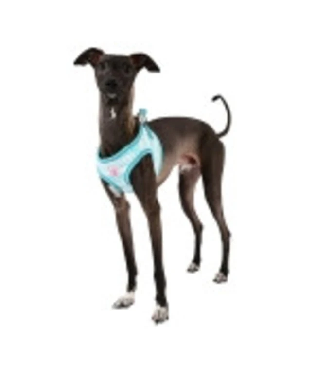 Pinkaholic Pinkaholic Cara Vest Harness Aqua 6 Pinkaholic Pinkaholic Cara Vest Harness Aqua - Afbeelding 4