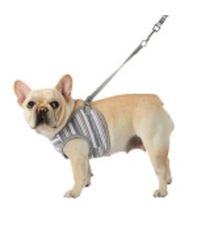 Pinkaholic Pinkaholic Cara Vest Harness ML Grey 6 Pinkaholic Pinkaholic Cara Vest Harness ML Grey - Afbeelding 4