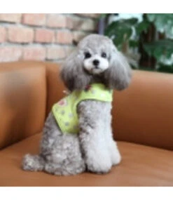 Pinkaholic Pinkaholic Chic Pinka Harness Lime -Hondenmode pinkaholic chic pinka harness lime 2