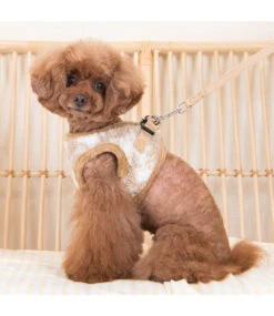 Pinkaholic Pinkaholic Chyanne Vest Harness Beige -Hondenmode pinkaholic chyanne vest harness beige 2