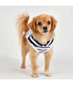 Pinkaholic Pinkaholic Cordelia Shirt Navy -Hondenmode pinkaholic cordelia shirt navy 2