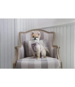 Pinkaholic Pinkaholic Da Vinci Harness Indian Pink Model C -Hondenmode pinkaholic da vinci harness indian pink model c 5