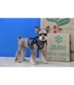 Pinkaholic Pinkaholic Da Vinci Harness V Navy -Hondenmode pinkaholic da vinci harness v navy 5