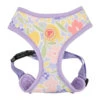 Pinkaholic Pinkaholic Evanthe Harness Purple 1 Pinkaholic Pinkaholic Evanthe Harness Purple -Hondenmode pinkaholic evanthe harness purple