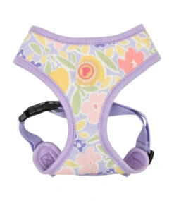 Pinkaholic Pinkaholic Evanthe Harness Purple