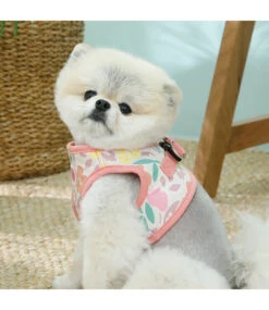 Pinkaholic Pinkaholic Evanthe Vest Harness Indian Pink 8 Pinkaholic Pinkaholic Evanthe Vest Harness Indian Pink -Hondenmode pinkaholic evanthe vest harness indian pink 2