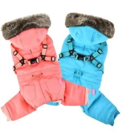 Pinkaholic Pinkaholic Evelyn Jacket Harness Aqua -Hondenmode pinkaholic evelyn jacket harness aqua 3