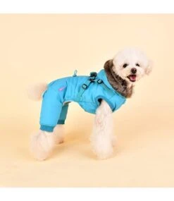 Pinkaholic Pinkaholic Evelyn Jacket Harness Aqua -Hondenmode pinkaholic evelyn jacket harness aqua 4