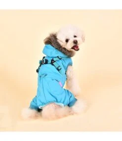 Pinkaholic Pinkaholic Evelyn Jacket Harness Aqua -Hondenmode pinkaholic evelyn jacket harness aqua 5