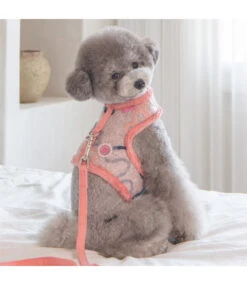 Pinkaholic Pinkaholic Freesia Pinka Harness Indian Pink -Hondenmode pinkaholic freesia pinka harness indian pink 2