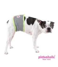 Pinkaholic Pinkaholic Harper Manner Band Green 10 Pinkaholic Pinkaholic Harper Manner Band Green -Hondenmode pinkaholic harper manner band green 3