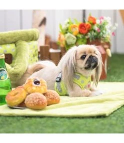 Pinkaholic Pinkaholic Honden Deken Chic Lime 7 Pinkaholic Pinkaholic Honden Deken Chic Lime -Hondenmode pinkaholic honden deken chic lime 2