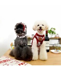 Pinkaholic Pinkaholic Joy Harness Wine Model C -Hondenmode pinkaholic joy harness wine model c 4