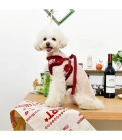 Pinkaholic Pinkaholic Joy Harness Wine Model C -Hondenmode pinkaholic joy harness wine model c 5