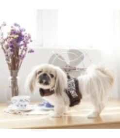 Pinkaholic Pinkaholic Leo Pug Pinka Harness Brown -Hondenmode pinkaholic leo pug pinka harness brown 3