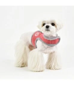 Pinkaholic Pinkaholic Lucca Pinka Harness Dark Pink -Hondenmode pinkaholic lucca pinka harness dark pink 3