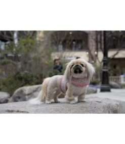 Pinkaholic Pinkaholic Margaux Pinka Harness Indian Pink 10 Pinkaholic Pinkaholic Margaux Pinka Harness Indian Pink -Hondenmode pinkaholic margaux pinka harness indian pink 3