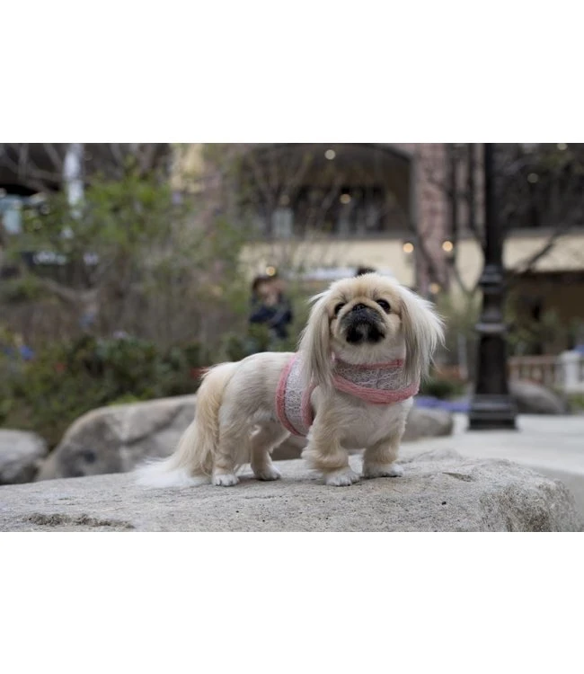 Pinkaholic Pinkaholic Margaux Pinka Harness Indian Pink 6 Pinkaholic Pinkaholic Margaux Pinka Harness Indian Pink - Afbeelding 4