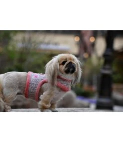 Pinkaholic Pinkaholic Margaux Pinka Harness Indian Pink 11 Pinkaholic Pinkaholic Margaux Pinka Harness Indian Pink -Hondenmode pinkaholic margaux pinka harness indian pink 4