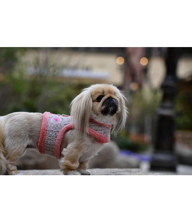 Pinkaholic Pinkaholic Margaux Pinka Harness Indian Pink 7 Pinkaholic Pinkaholic Margaux Pinka Harness Indian Pink - Afbeelding 5