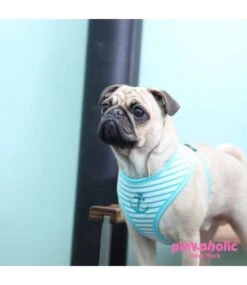 Pinkaholic Pinkaholic Matelot Harness Aqua -Hondenmode pinkaholic matelot harness aqua 2