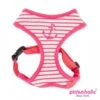 Pinkaholic Pinkaholic Matelot Harness Pink -Hondenmode pinkaholic matelot harness pink