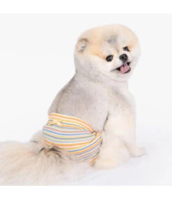 Pinkaholic Pinkaholic Meline Sanitary Panty Yellow -Hondenmode pinkaholic meline sanitary panty yellow 2