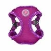 Pinkaholic Pinkaholic Niki Harness Model C Purple 1 Pinkaholic Pinkaholic Niki Harness Model C Purple -Hondenmode pinkaholic niki harness model c purple